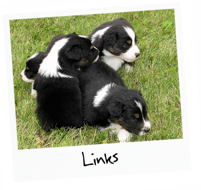 4 puppies sitting in the grass with title: Links